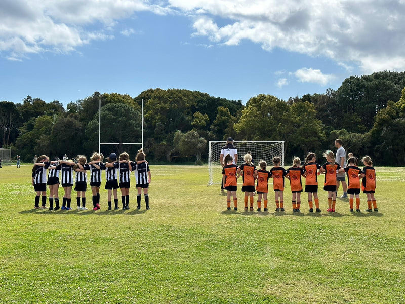 How much does it cost?