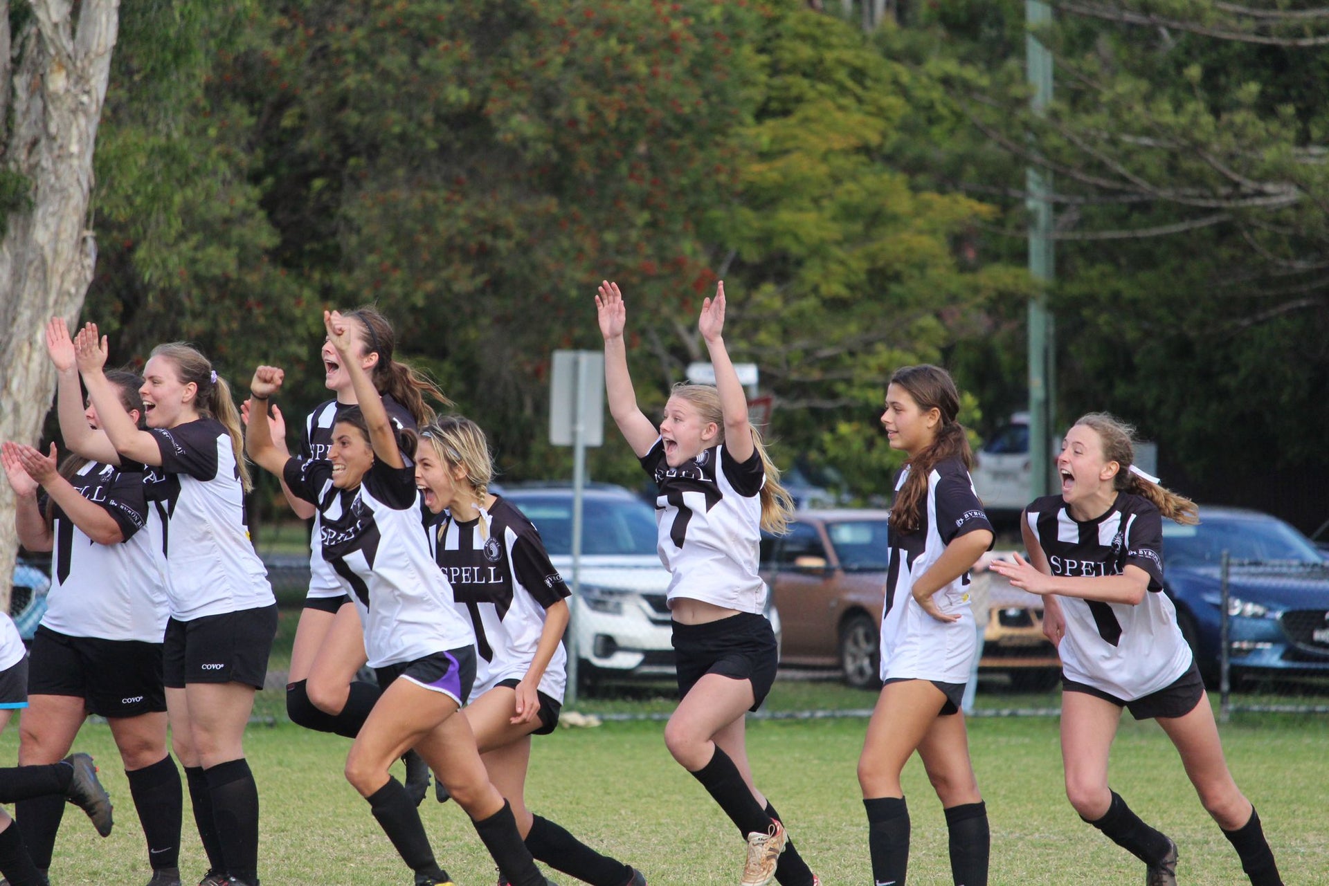 LEADING THE WAY IN THE BAY